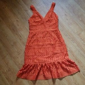 NWT Diane Von Furstenberg Lace Dress